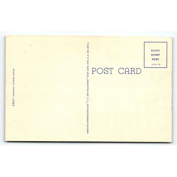 Greetings From Florida Map Postcard Swim Suit Beach Girl Linen Curt Teich Unused - Picture 2 of 2